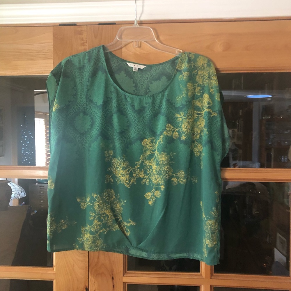Green and gold blouse
